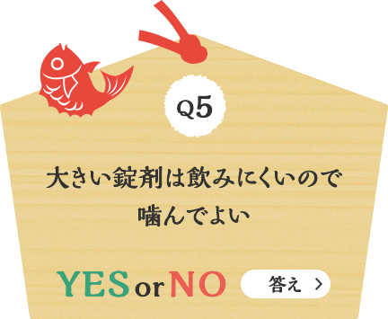 Q5 大きい錠剤は飲みにくいので噛んでよい YES or NO